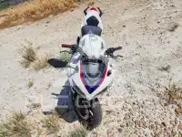 2014 Honda CBR photo