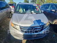 2014 Honda ODYSSEY фото