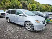 2014 Honda ODYSSEY photo