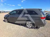 2014 Honda ODYSSEY фото