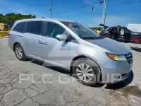 2014 Honda ODYSSEY фото