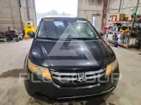 2014 Honda ODYSSEY фото