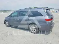 2014 Honda ODYSSEY photo