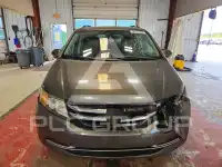 2014 Honda ODYSSEY photo