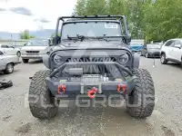 2014 Jeep WRANGLER фото