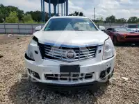 2014 Cadillac SRX фото