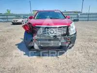 2014 Cadillac SRX фото