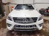 2014 Mercedes Benz ML-Class photo