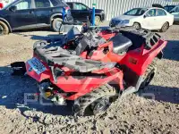 2014 Can-AM Atv фото