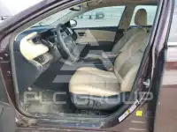 2014 Toyota AVALON фото