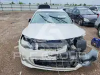 2014 Toyota AVALON фото