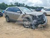 2014 KIA Sorento фото