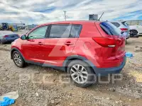 2014 KIA Sportage фото