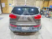 2014 KIA Sportage фото