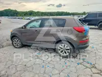 2014 KIA Sportage фото