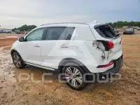 2014 KIA Sportage фото