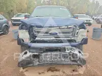 2014 Ford F-150 фото