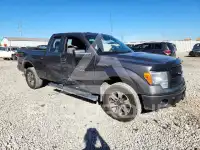 2014 Ford F-150 photo