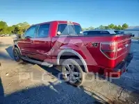 2014 Ford F-150 photo