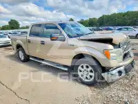 2014 Ford F-150 фото