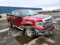 2014 Ford F-150 photo