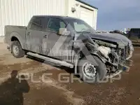 2014 Ford F-150 photo