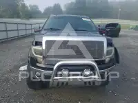 2014 Ford F-150 фото