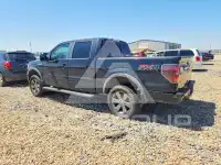 2014 Ford F-150 фото