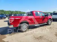 2014 Ford F-150 photo