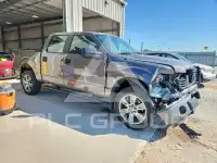 2014 Ford F-150 photo