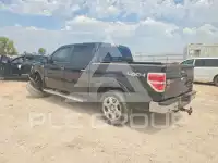 2014 Ford F-150 photo