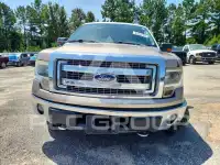 2014 Ford F-150 фото