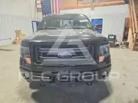 2014 Ford F-150 photo