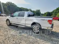 2014 Ford F-150 photo
