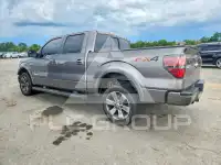 2014 Ford F-150 фото