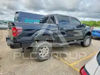 2014 Ford F-150 фото