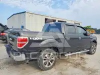 2014 Ford F-150 photo