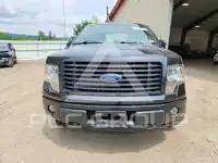 2014 Ford F-150 photo