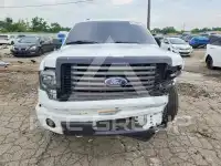 2014 Ford F-150 photo