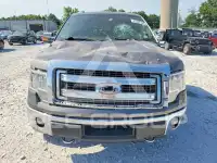 2014 Ford F-150 фото