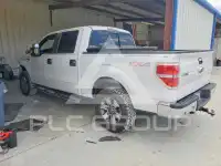 2014 Ford F-150 photo