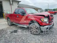 2014 Ford F-150 фото