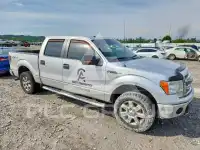 2014 Ford F-150 фото