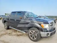 2014 Ford F-150 photo