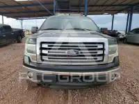 2014 Ford F-150 photo