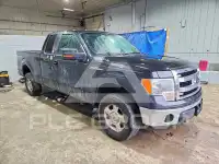 2014 Ford F-150 фото
