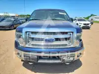 2014 Ford F-150 фото