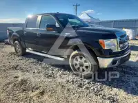 2014 Ford F-150 photo