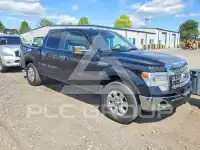 2014 Ford F-150 photo