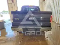 2014 Ford F-150 photo